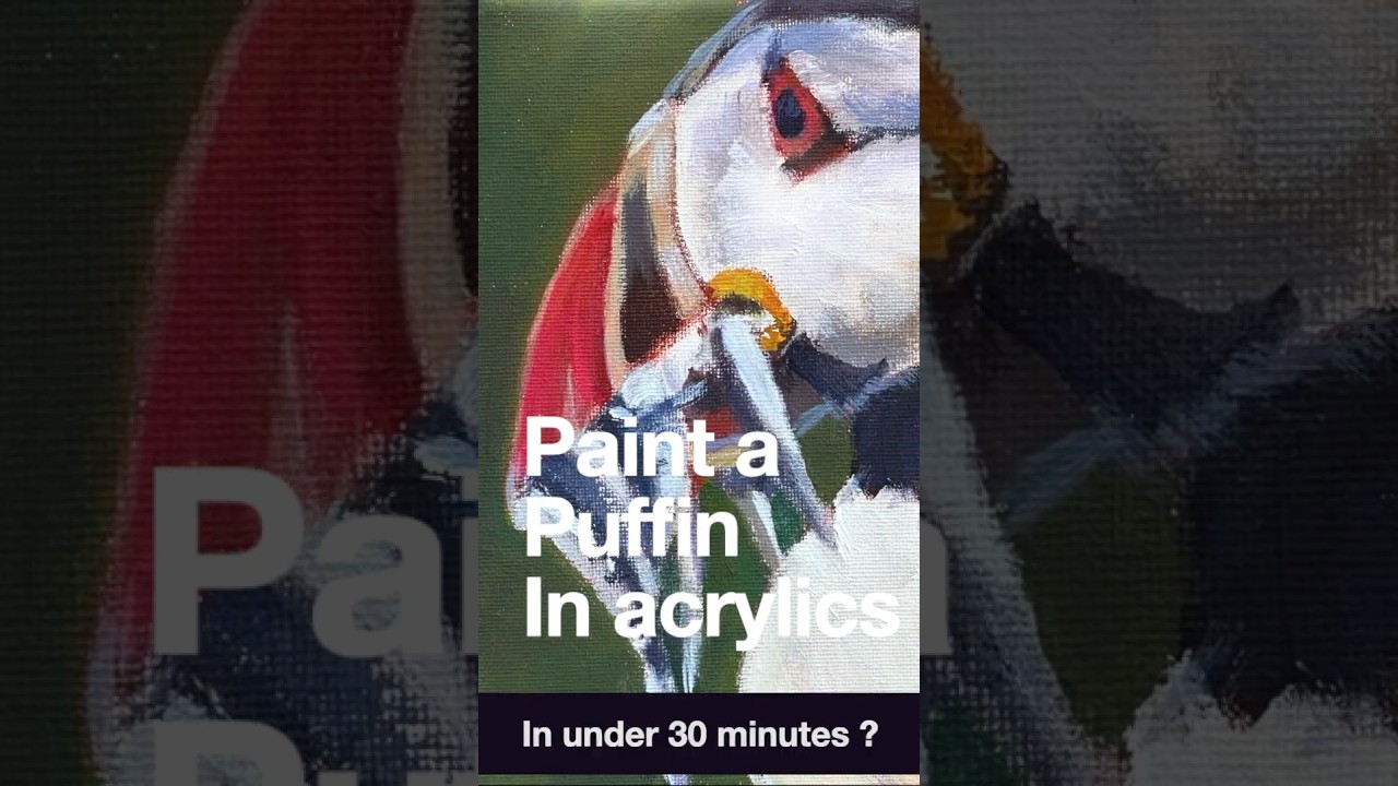 30 minute Puffin painting #acrylicpainting #puffin #speedpainting  #puffinpainting