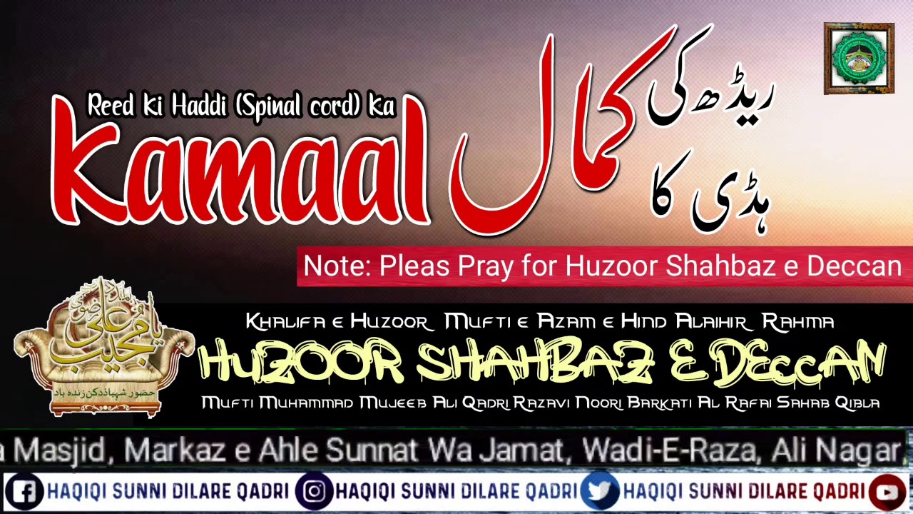 Reed ki Haddi (Spinal cord) ka Kamaal | Huzoor Shahbaz e Deccan Mufti Mujeeb Ali Qadri Razavi Sahab