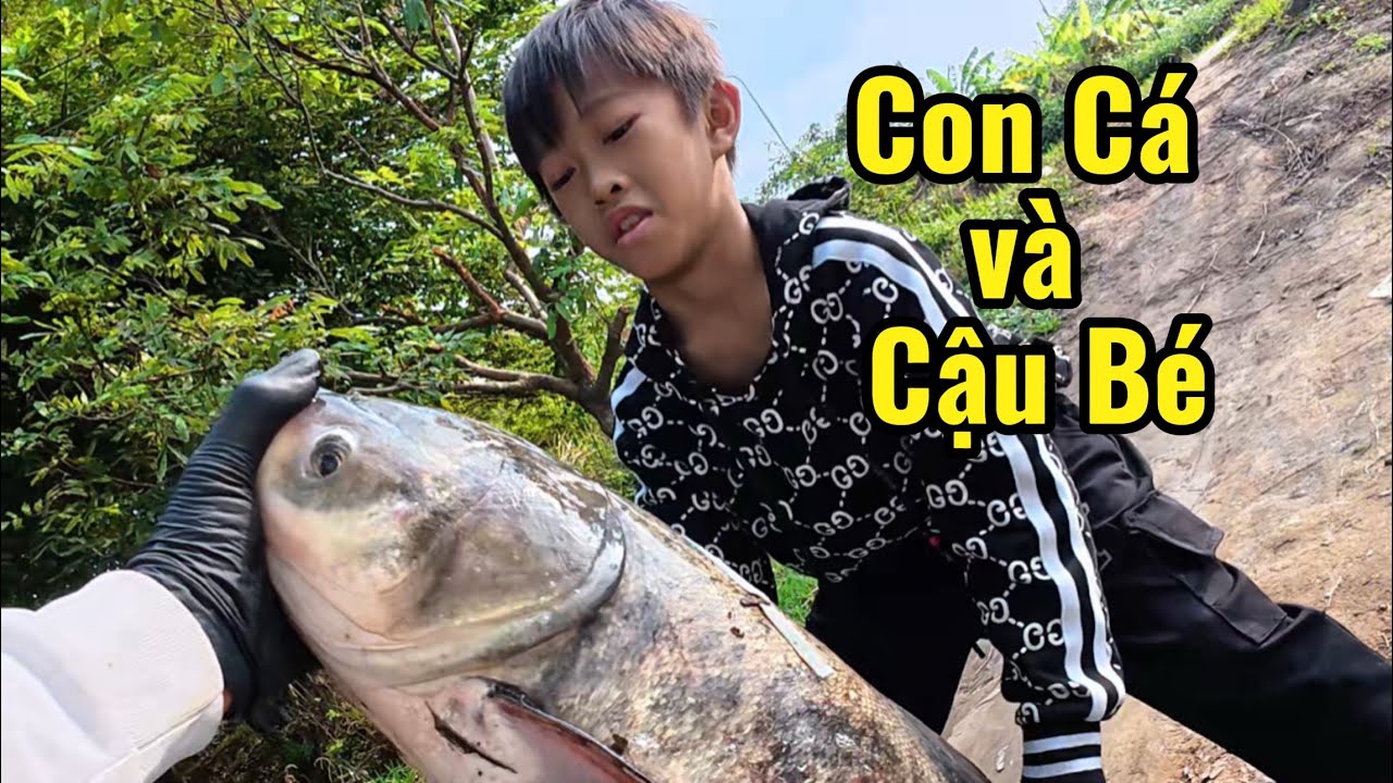 Con cá và Cậu Bé