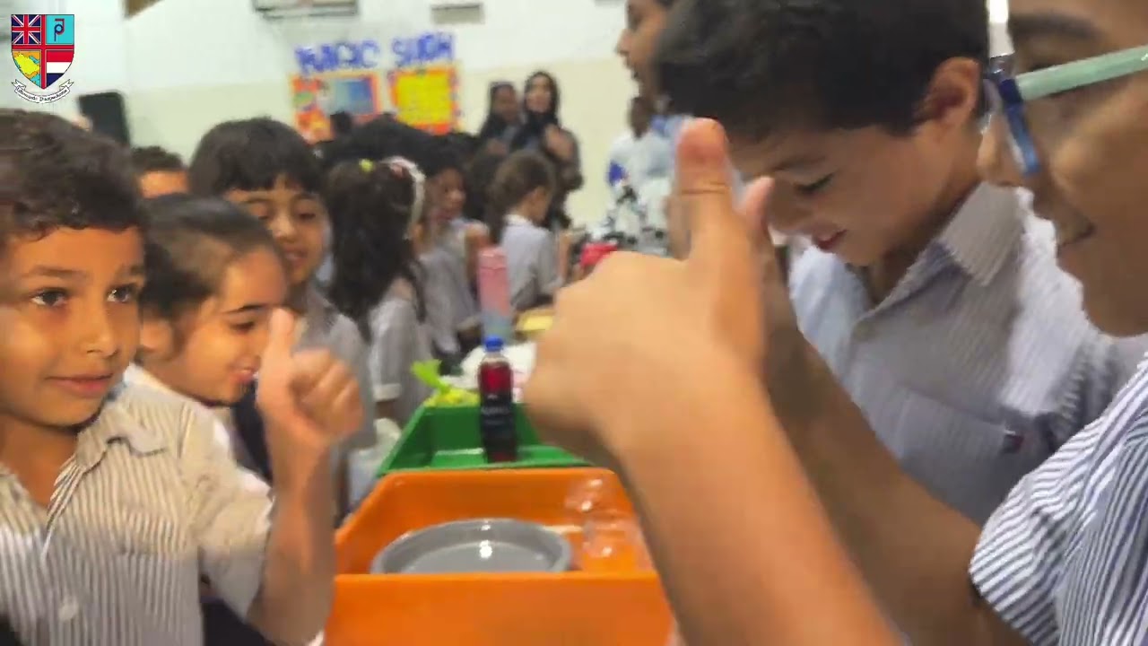 Science Fair 2024-25