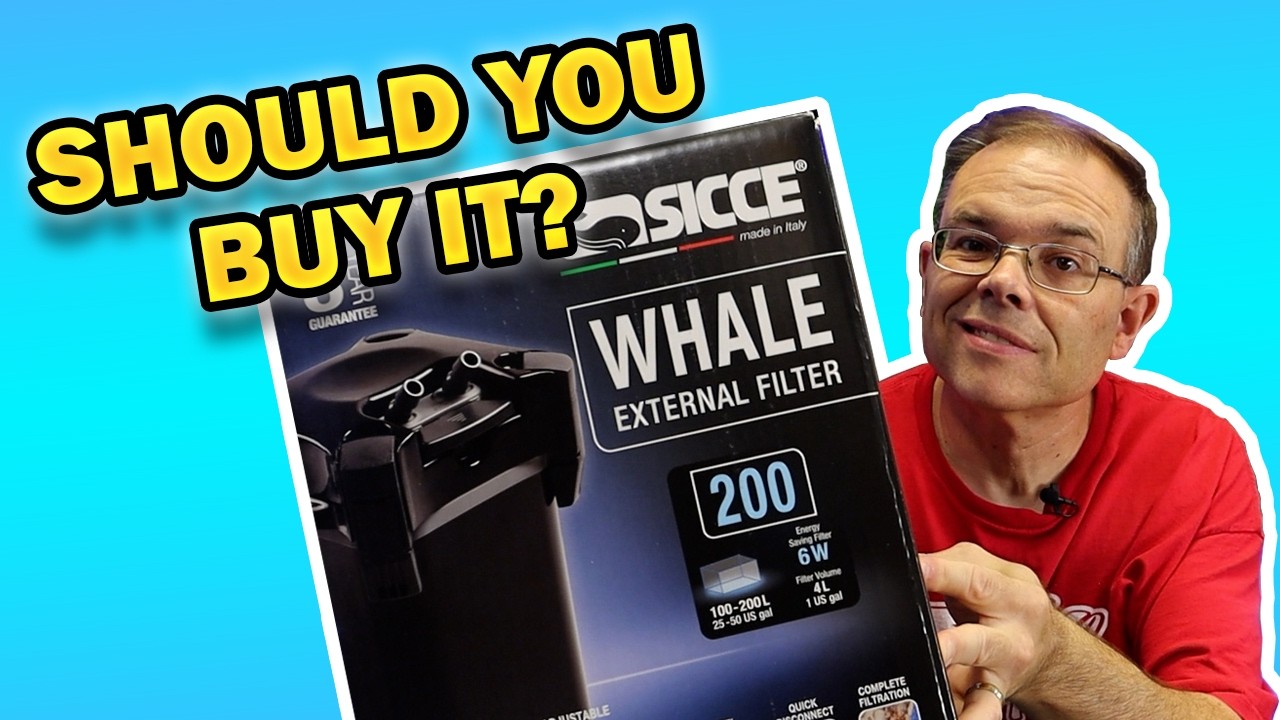 Настройка и обзор Sicce Whale 200