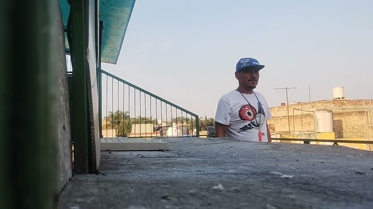 Pasión Colombófila está en vivo