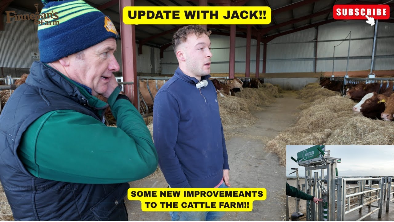 SOME NEW IMPROVEMEANTS TO THE CATTLE FARM!!