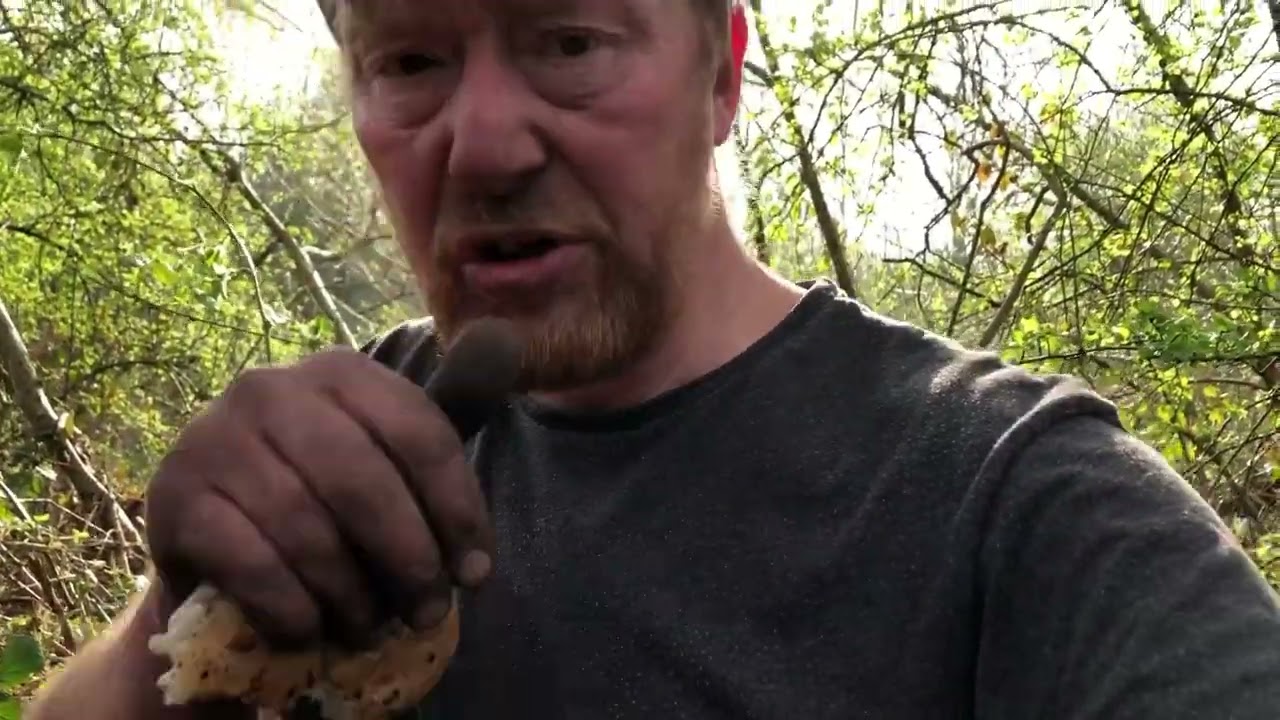 Bottle digging uk back to an unusual tip