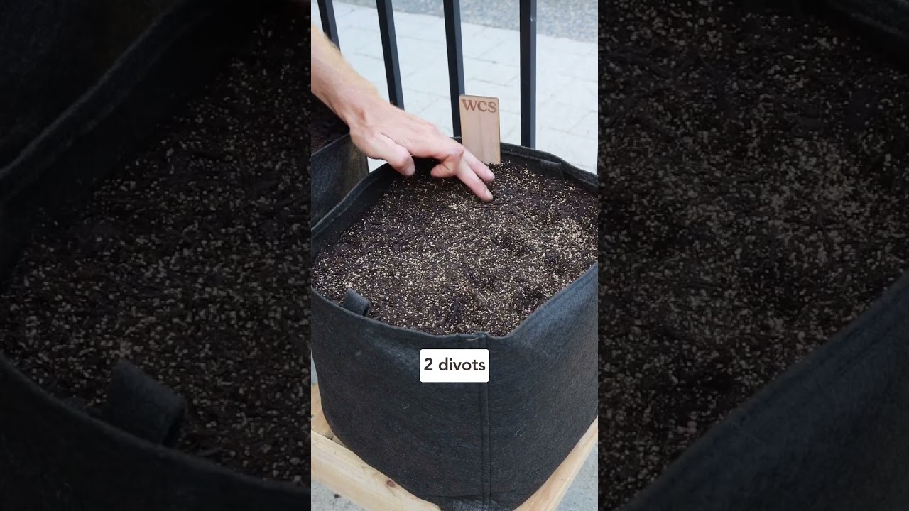 Seed to harvest in 30 days? Let&rsquo;s give it a try! #gardeningtips #garden