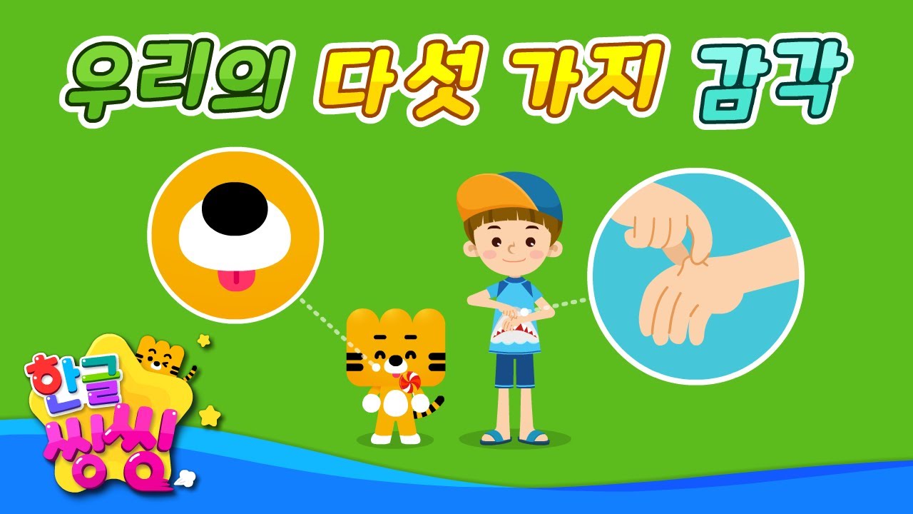 우리의 다섯 가지 감각👂│한글공부│📚🌈씽씽단어쏙쏙│단어카드│한글씽씽│일상단어
