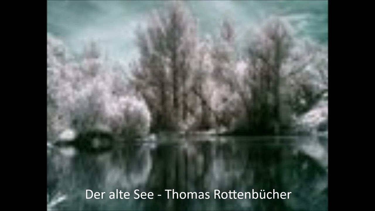 Der alte See - Thomas Rottenbücher