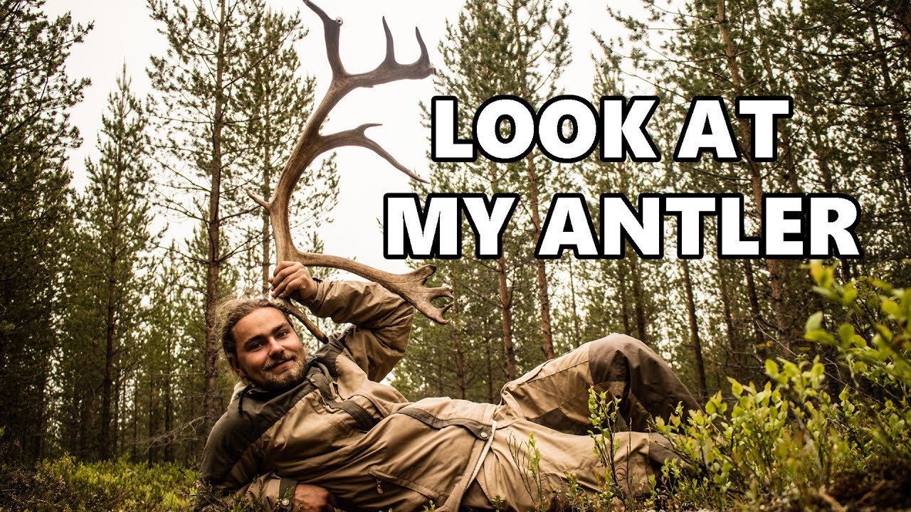 #9 big antlers from reindeer