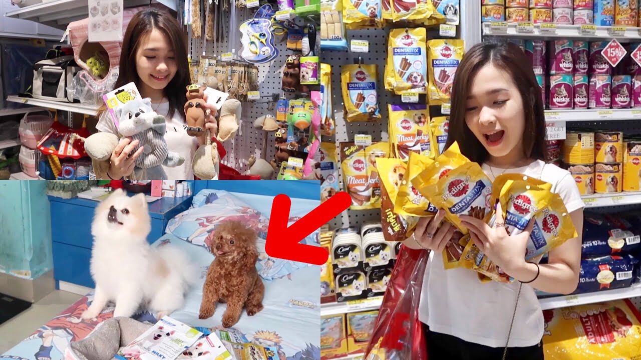 VLOG : Belanja MAINAN & SNACK Anjing2ku