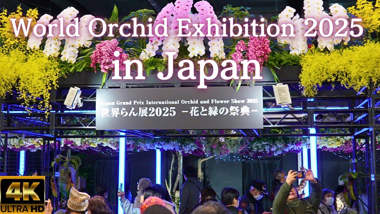 世界らん展2025★一生に一度しか見られない高いレベル★完全保存版