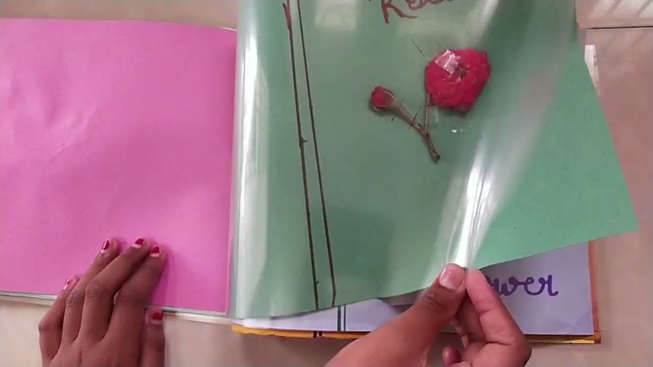 Flower album made by kids