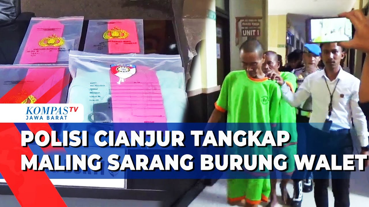 Komplotan Pencuri Sarang Burung Walet Berhasil Ditangkap Petugas