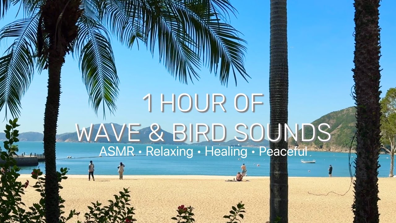 🍃 1 Hour of Wave & Bird Sounds • ASMR • Relaxing • Deep Sleep • Peaceful • Healing • Stress Relief