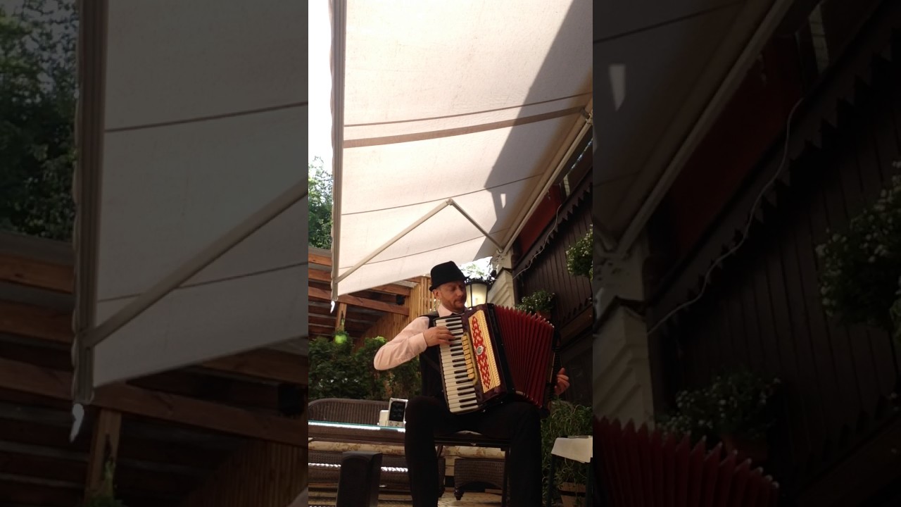 OB-LA-DI,OB-LA-DA(The Beatles)Accordion cover live
