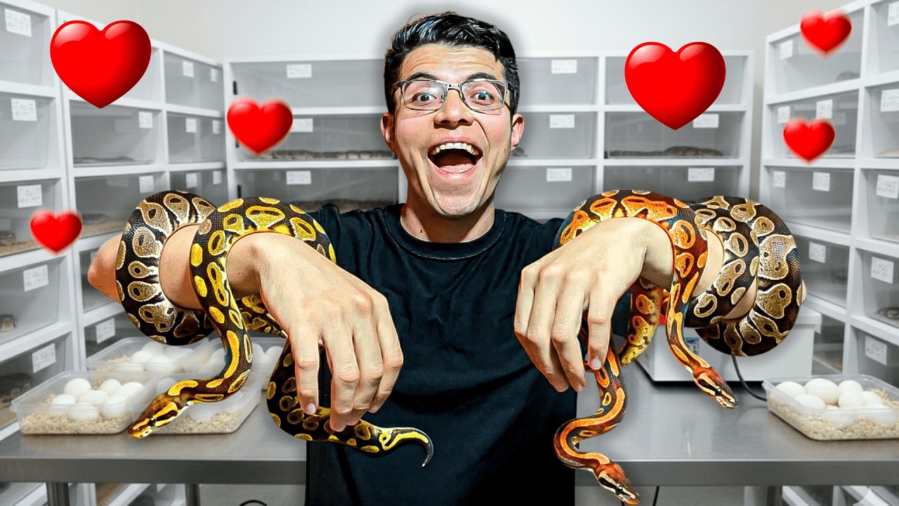 ¡La temporada más IMPORTANTE de mi vida empieza HOY!