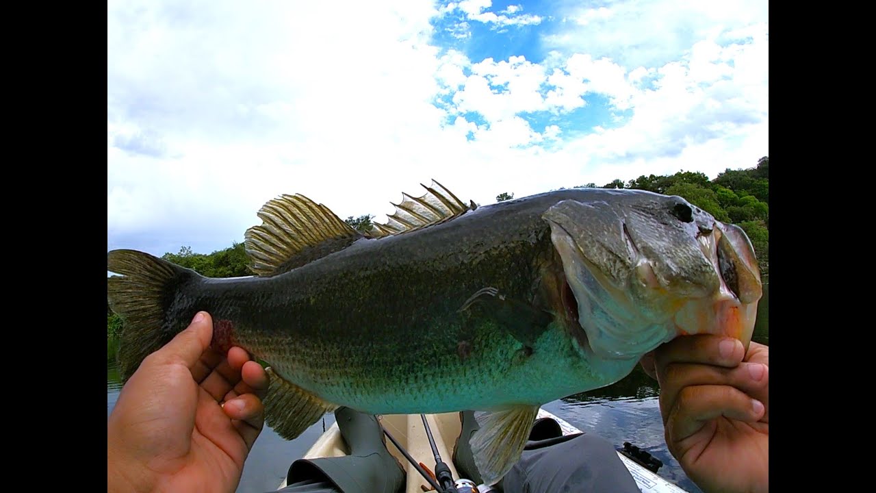 Kayak Fishing at Landa Park New Braunfels TX Ep.11