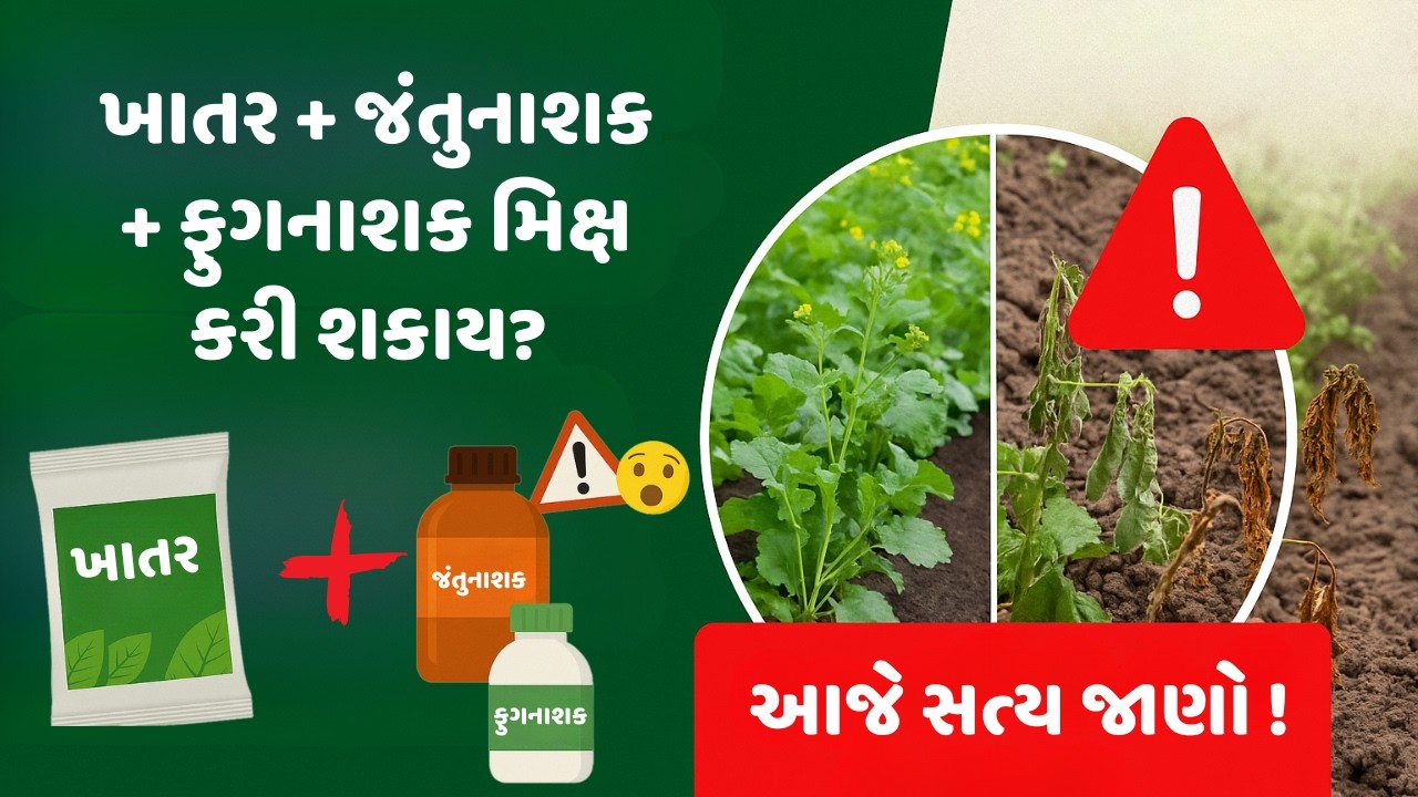 ખાતર અને દવા સાથે મિક્ષ કરવા જોઈએ કે નહીં? | ખેડૂતમિત્રો આ ભૂલ ટાળો | જાણો સત્ય પછી સ્પ્રે કરો
