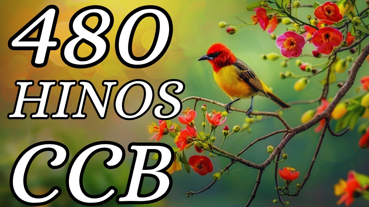 480 HINOS CCB CANTADOS- 05/01/2026- 1,2,3,4,5,6,7,8,9,10,11,12,13,14,15,16,17,18,19,20,21,22,23,24..
