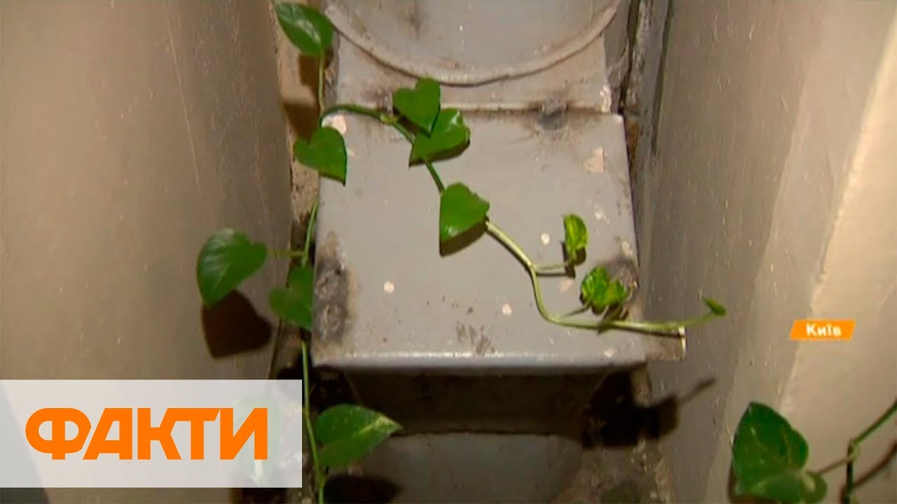 Тараканы, крысы и вонь: почему нужно отказываться от мусоропроводов