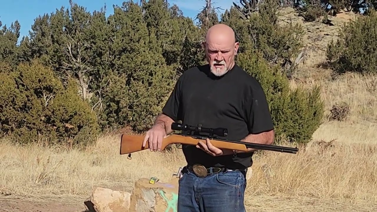 22lr vs 22 magnum