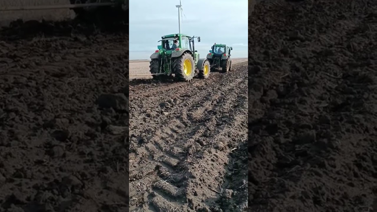 Sugar beets transport Serbia