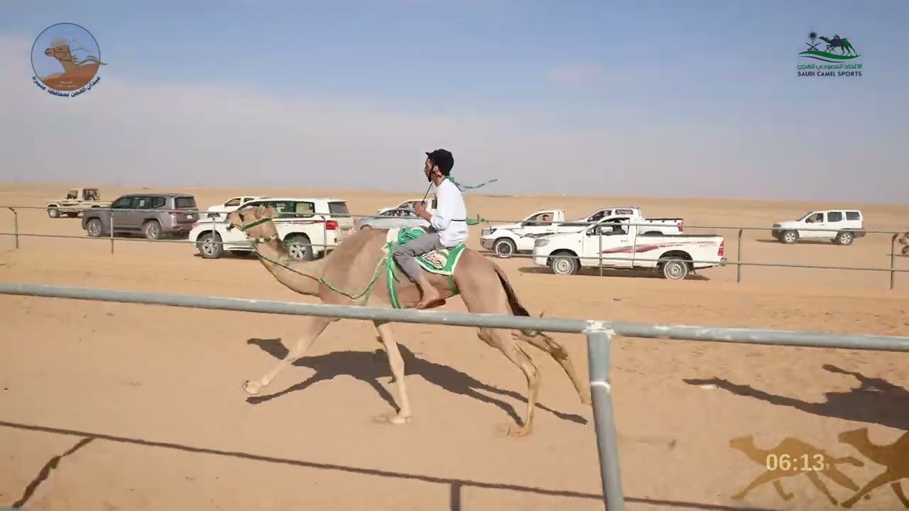 دوري هجان الشوط الاول حيل وثنايا بكار / غربة ل رفيع سميحان حمدان الشمري والهجان فيصل خميس  المسعودي
