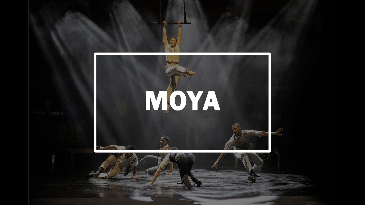 Trailer Moya de Zip Zap Circus 🇿🇦