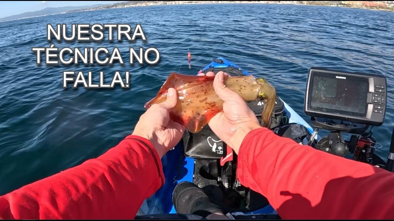 Segunda Jornada de Pesca de Calamares en La Axarquía, nuestro método es  efectivo