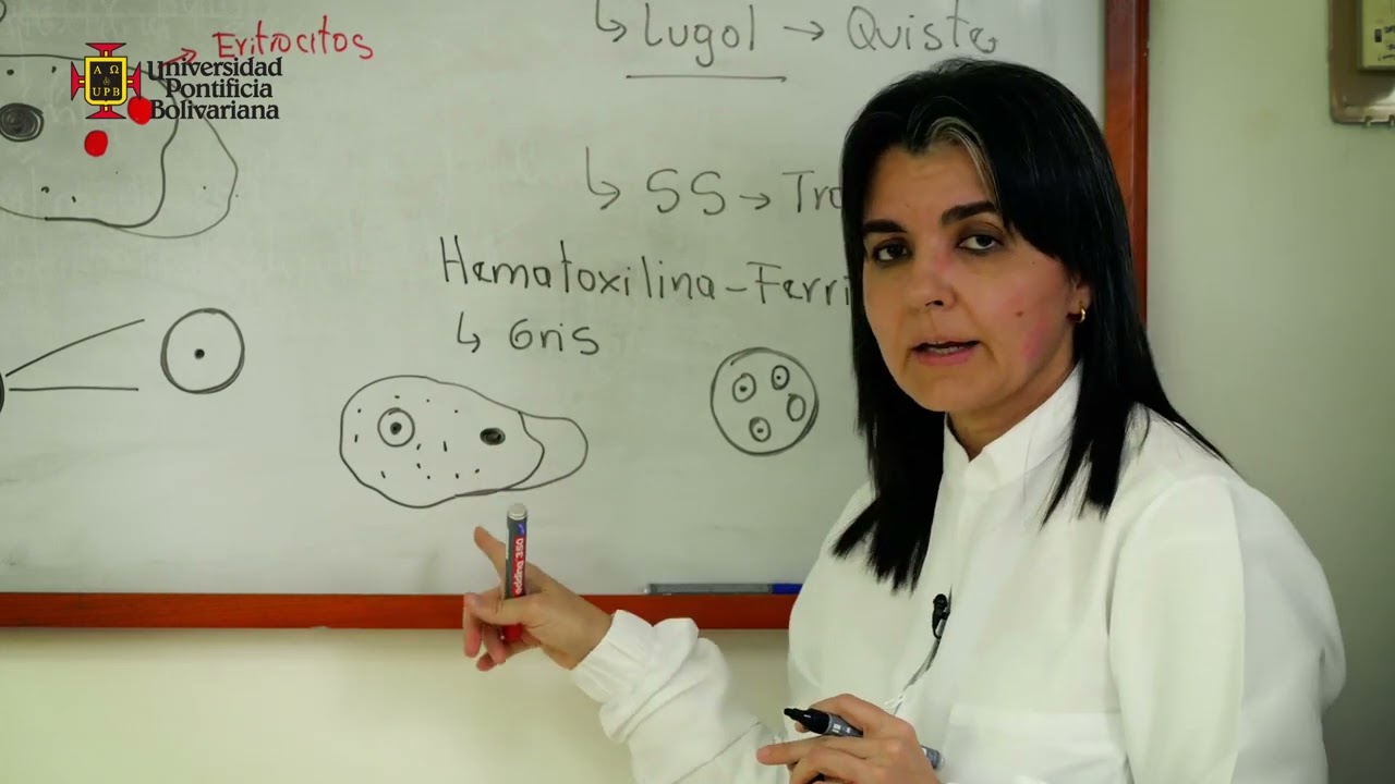 Protozoos intestinales en el laboratorio
