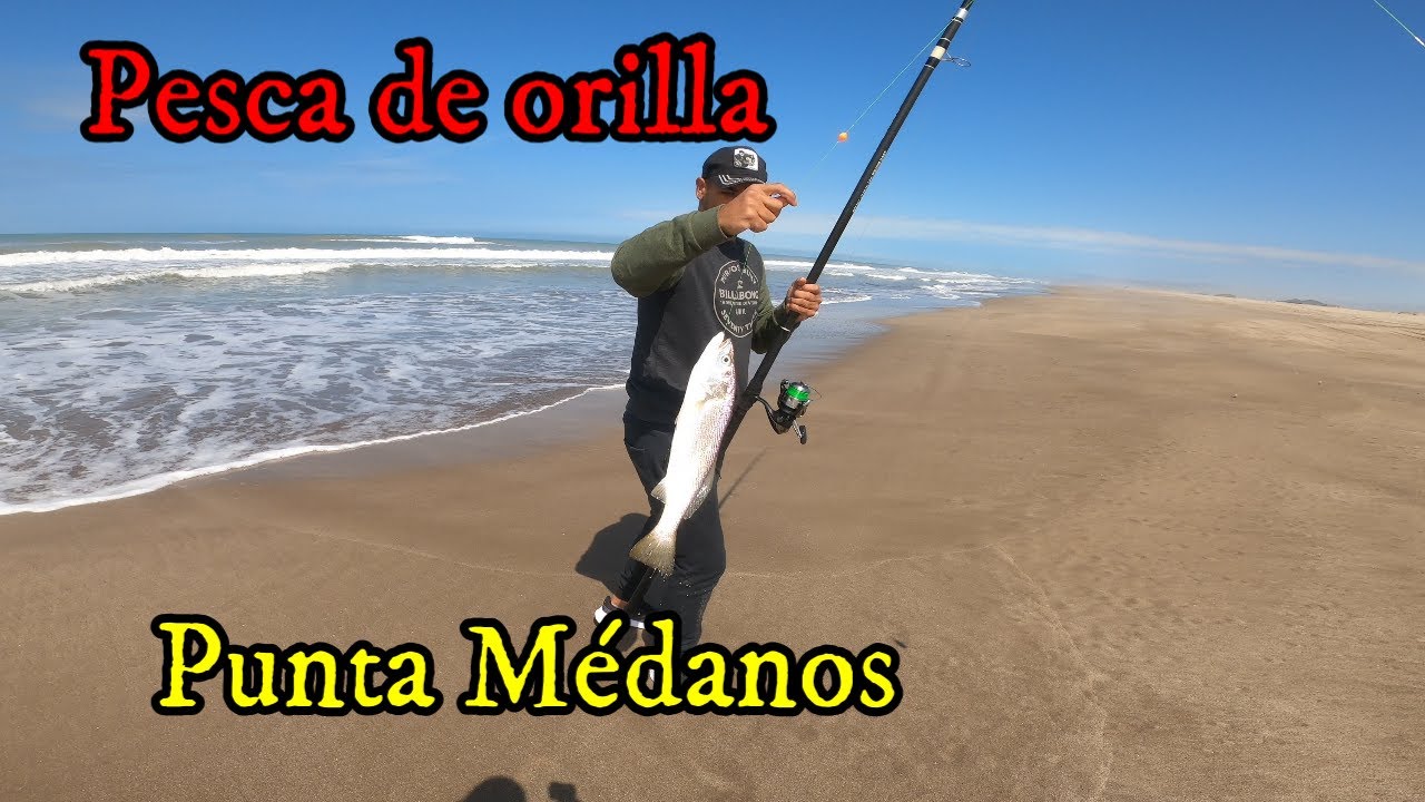 ⚠ OBLIGATORIA pesca en Punta Médanos!! ahí va el informe...