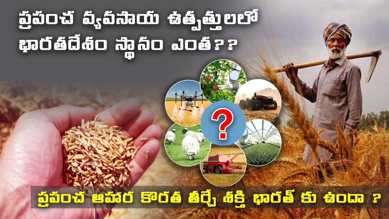 Can India Feed The World With Agricultural Exports || Nationalist Voice