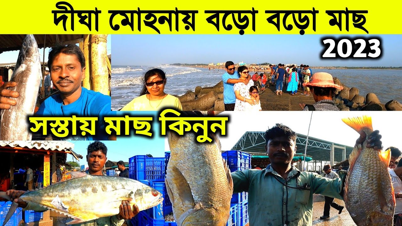 Digha Mohona | দীঘা মোহনায় বিরাট বিরাট মাছ | মোহনা মাছ বাজার | Digha Mohona Fish Market | Digha Tour