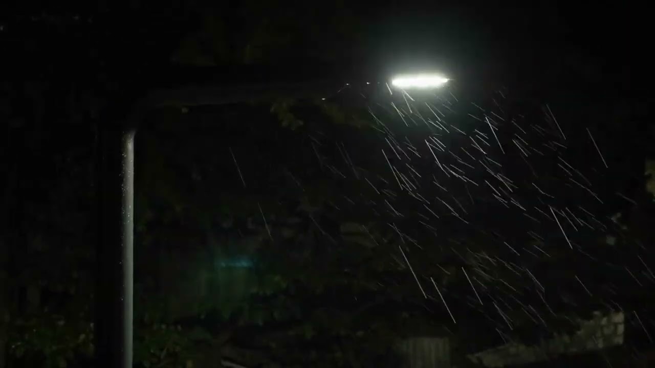 Steady Rain Sounds for Deep Sleep (2.5 Hours) | Sounds for Anxiety & Sleep No Thunder, No Music