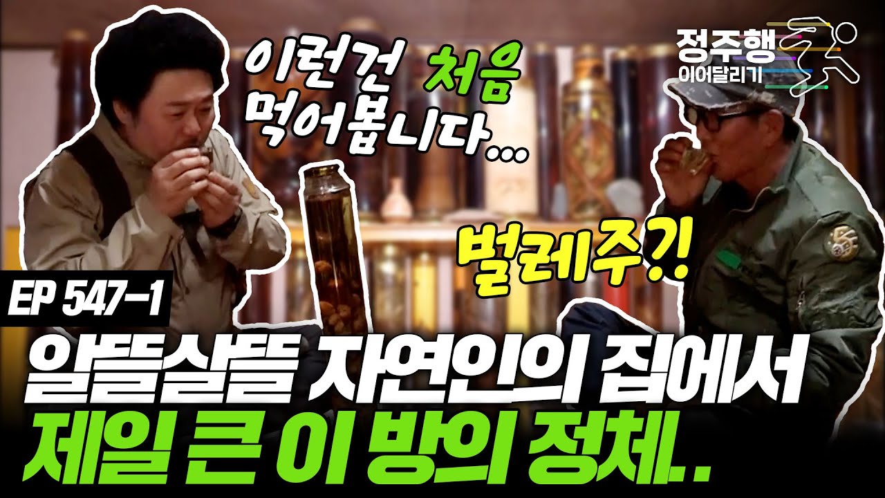 없는 게 없다는 10년간 모아 온 자연인의 담금주 그 종류와 맛은..?! #정주행_이어달리기 #나는자연인이다 547-1
