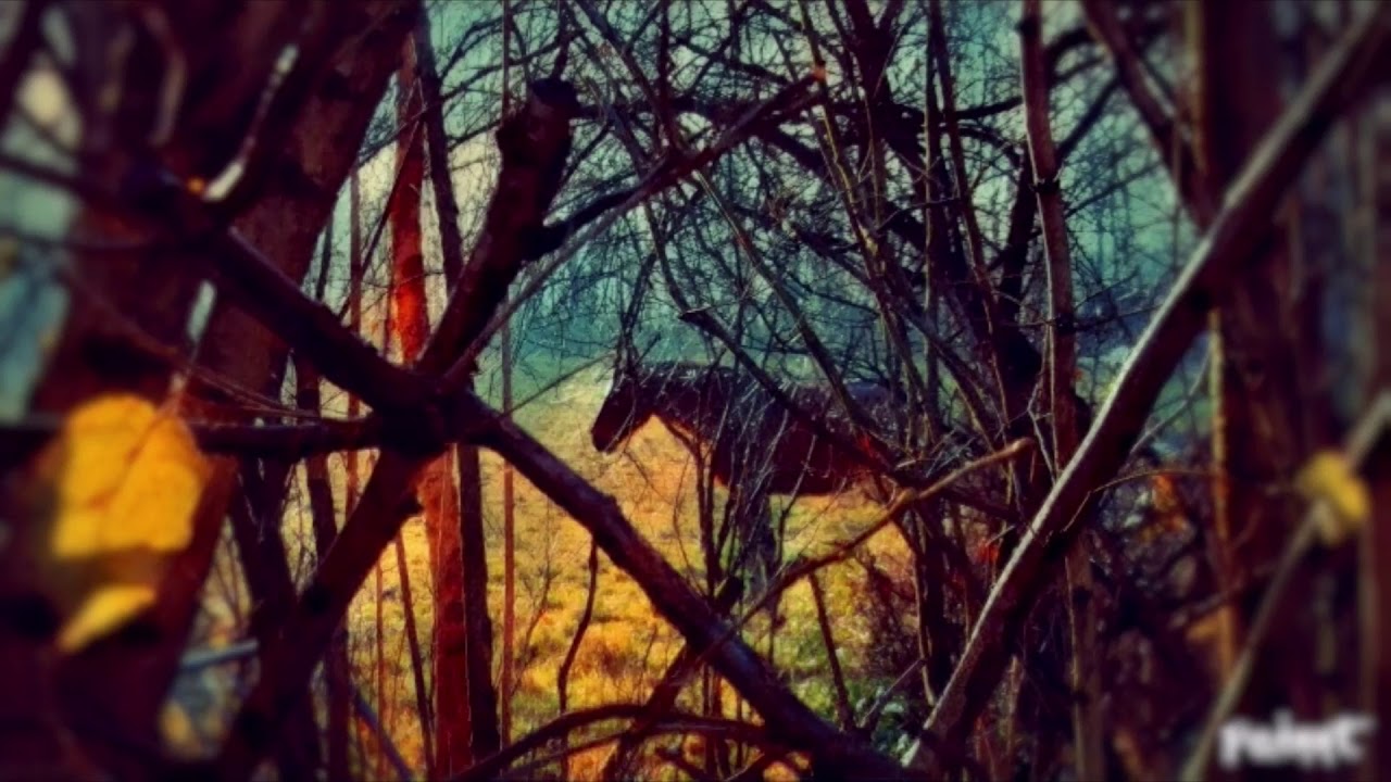 Isabelle Panneton : Trois fois passera (Three Times Will Go Past)―for strings, violin & marimba