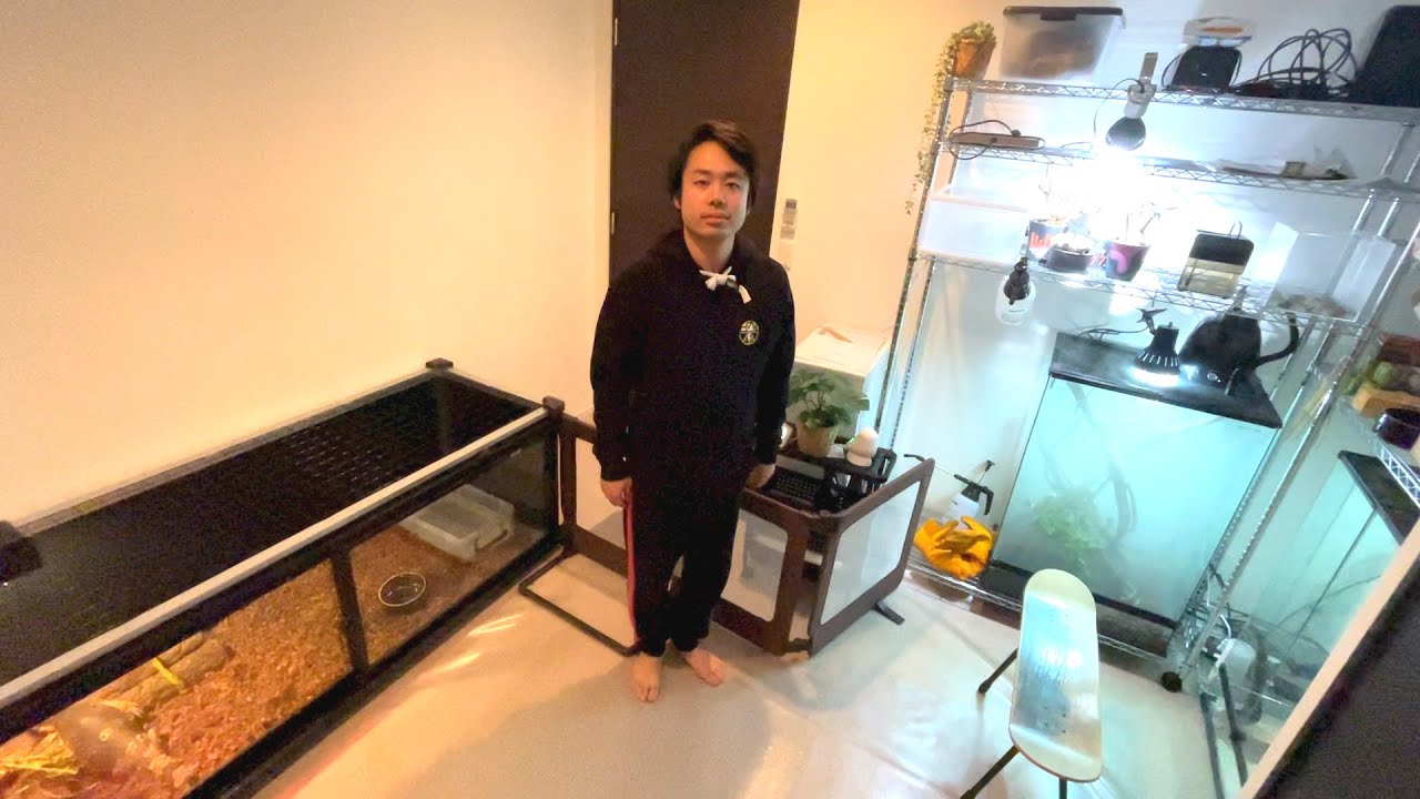 新ジャングルームを紹介します。