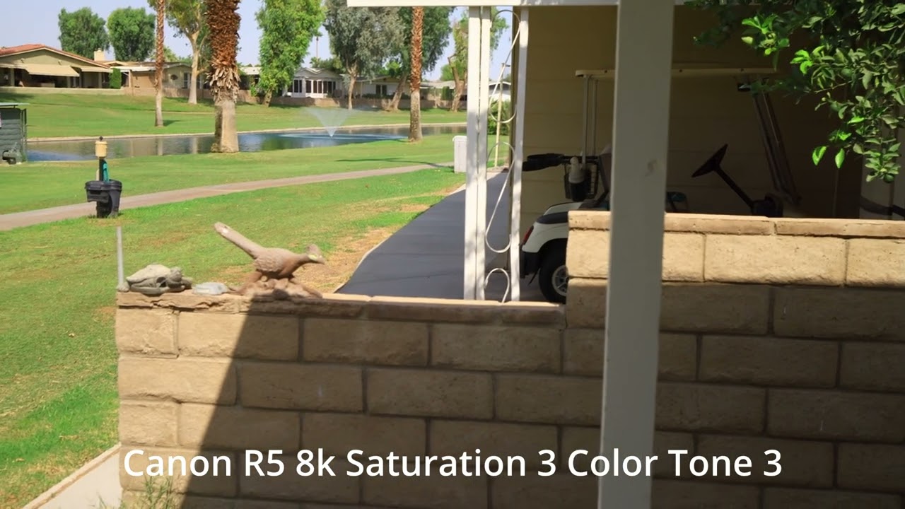 R5 8k Saturation and Color Tone Test