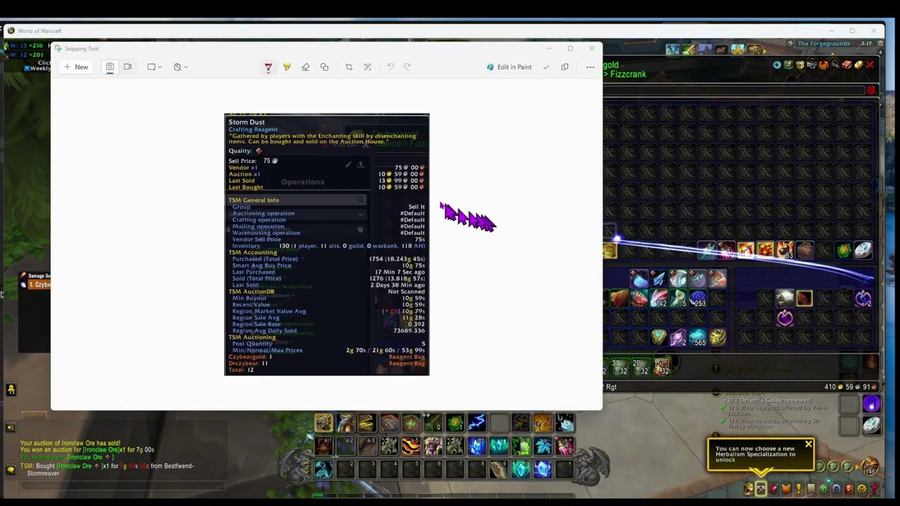Day 2   Setting UP TSM, CZYBEARBANK, DRCZYBEAR, auctioning, mailing