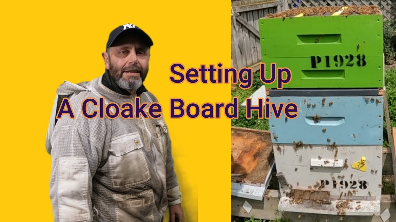 Ep 99 QRS #11 Setting Up A Hive For A Cloake Board Graft
