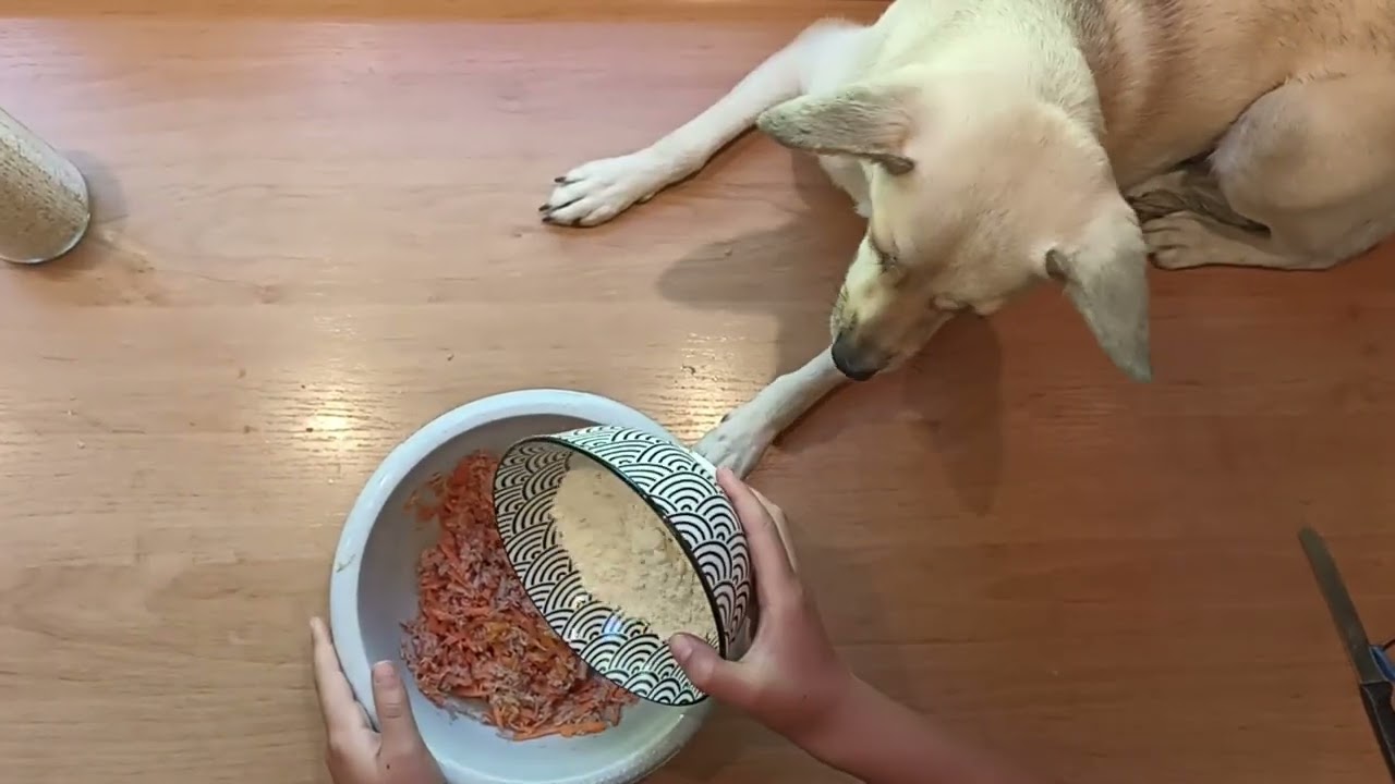 Hundekekse mit Thunfisch selber machen - Leckerlies