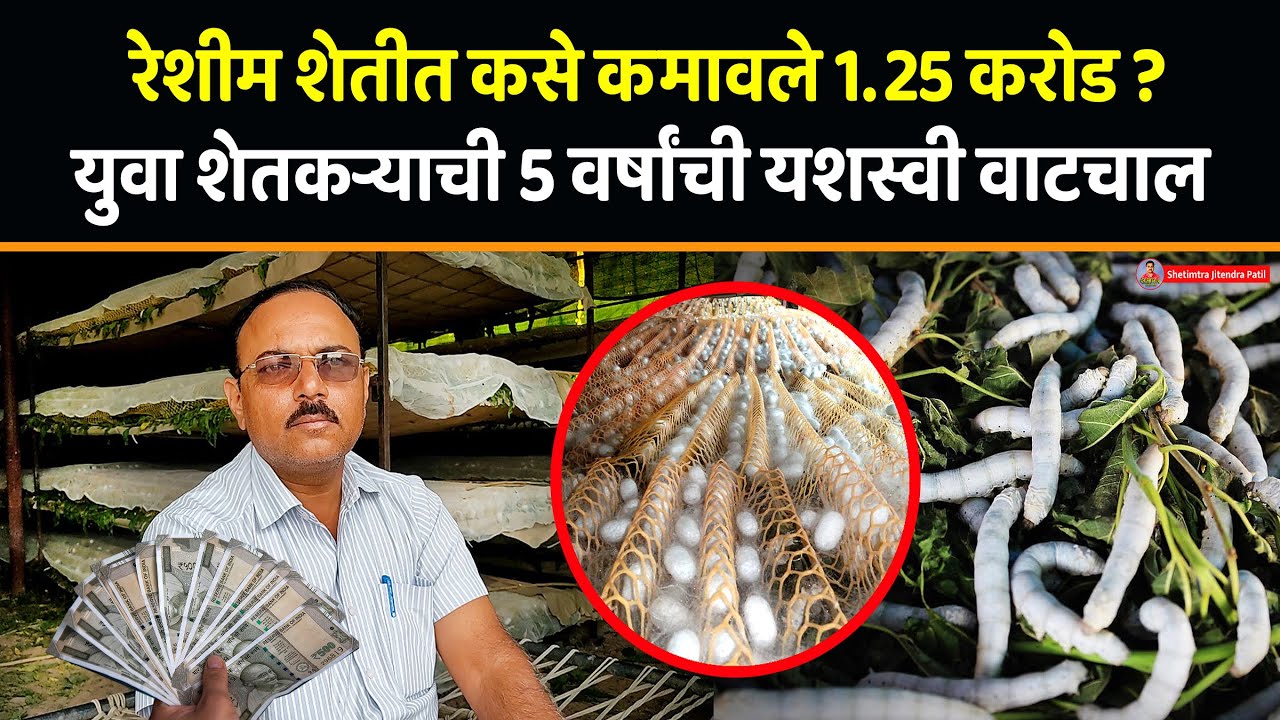 रेशीम शेतीमध्ये कसे कमावले 1.25 करोड ? | पाच वर्षांची यशस्वी वाटचाल | Sericulture success story
