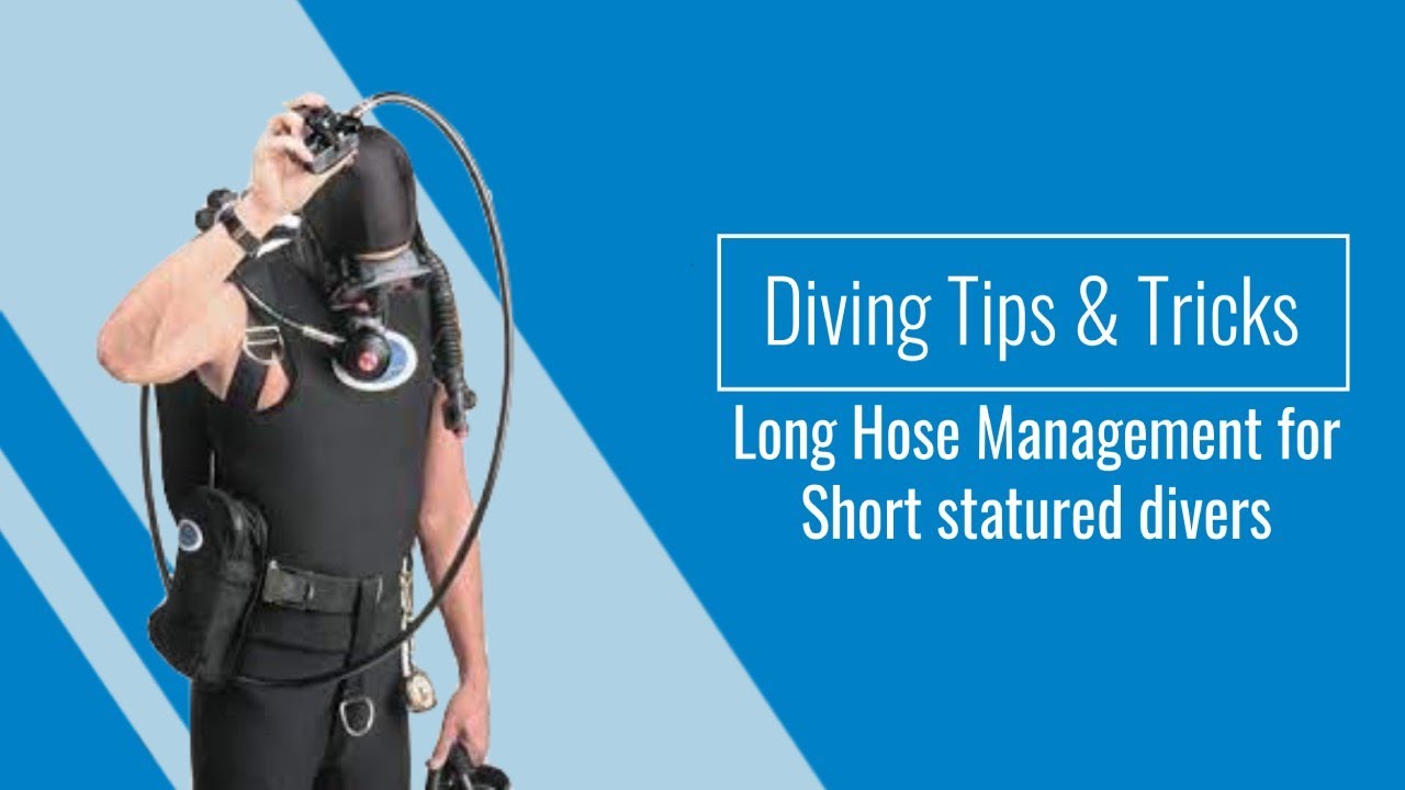Diving Tips & Tricks - Long Hose Management for 