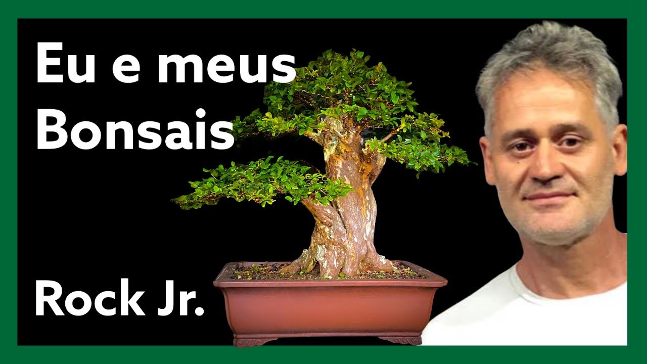 Rock Jr. e seu viveiro de bonsai