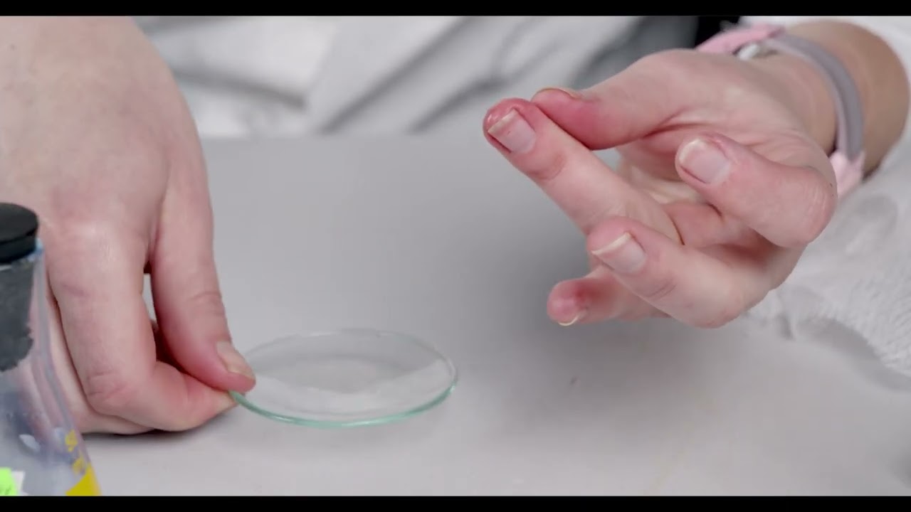 Science Vision - Biological experiment