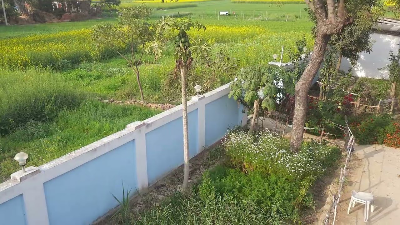 6 बेटी विवाह गीत
