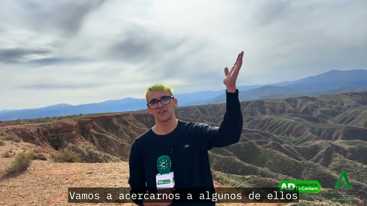 CEE Ntra. Sra. de la Esperanza  de Guadix. Descubriendo el Geoparque de Granada. La Cantera de AD.