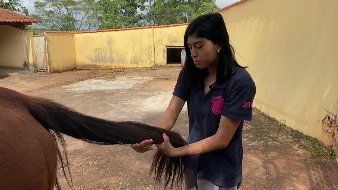 NÓ FÁCIL PRA DAR NO RABO DO CAVALO