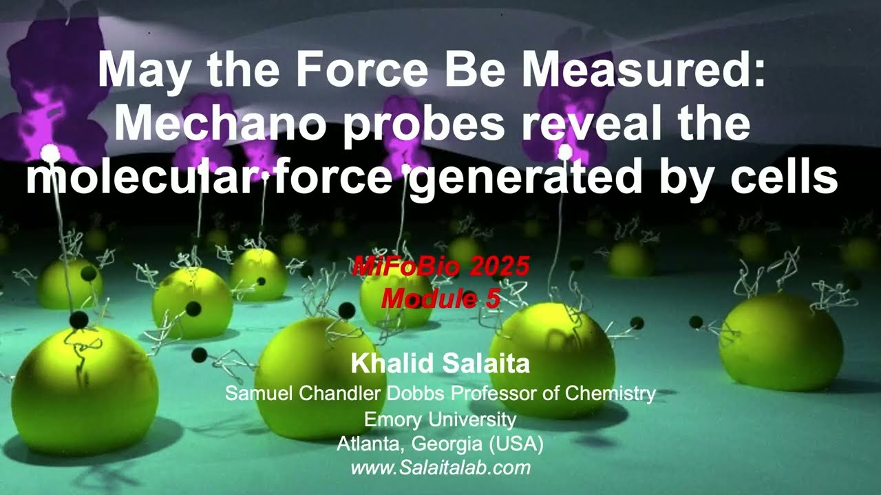 Khalid SALAITA - May the Force Be Measured :Mechano probes reveal the molecular forces generated ...