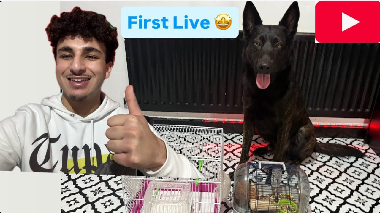 🎉MY FIRST YOUTUBE LIVE!🎉