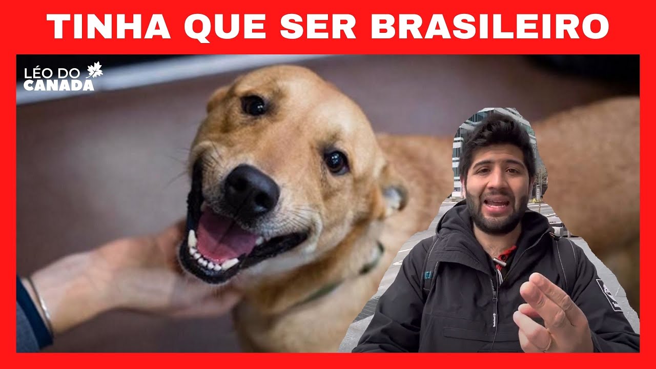 Por que Brasileiro odeia o Brasil?  COMPLEXO DE VIRA-LATAS